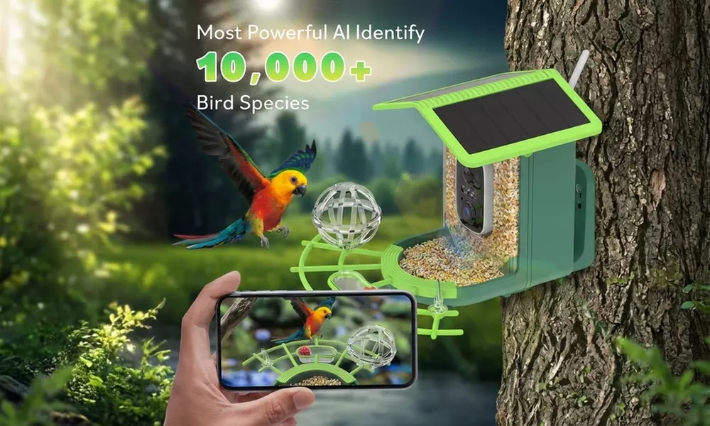 HD Solar Bird Feeder Camera with Colour Night Vision