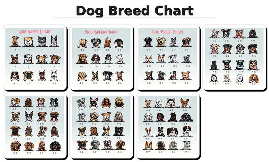 Image 6: Personalized Pet Themed Jewelry from Becca Prado