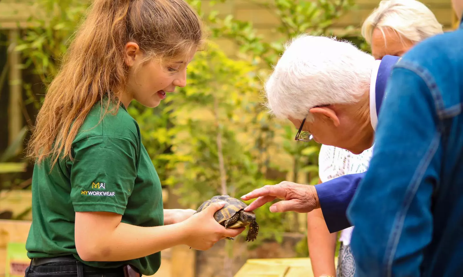 Embark on a Wild Adventure at Up to 58% Off at Exotic Zoo!