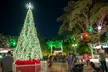 Experience the Magic of Zoo Lights at Palm Beach Zoo & Conservation Society - Second Medium