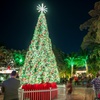 Image 4: Zoo Lights: A Dazzling Holiday Experience 
