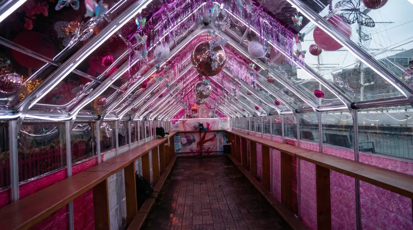 VIP General Admission with Flex Pass Ticket to Pink Pier