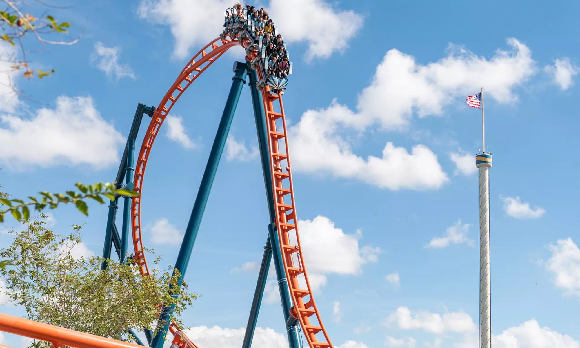 END OF SUMMER SALE! Save 58% on SeaWorld Orlando Tickets!