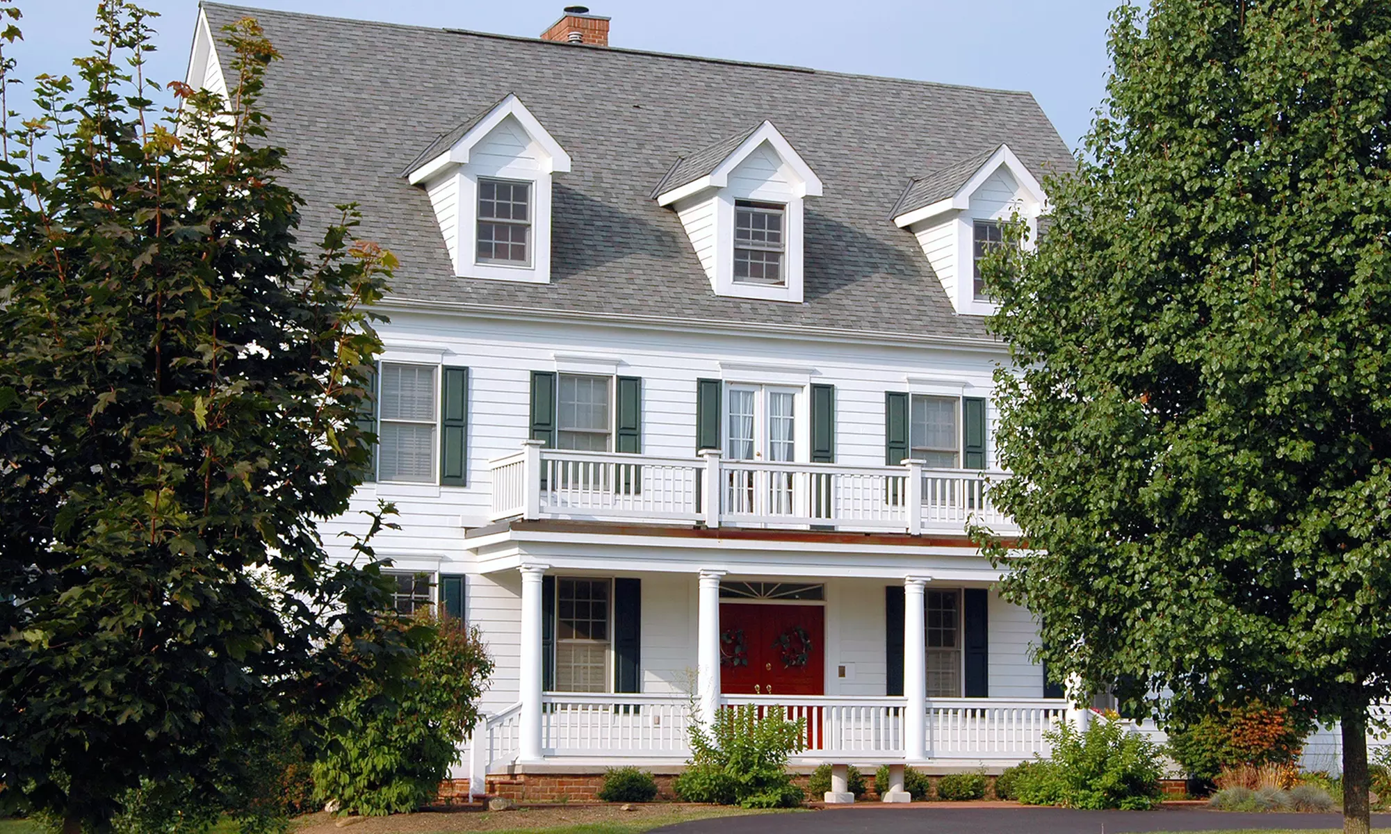 $150 for $300 Worth of Trimming and Removal from Wysong Tree Service - Primary Image