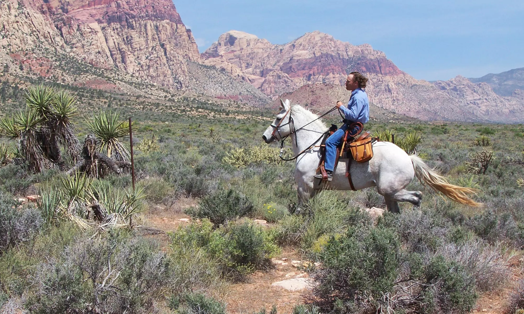 90-Minute Horseback Trail Ride for Two or Four at Las Vegas Trail Riding (
60% Off) - Primary Image