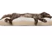 FurHaven Pet Ultra Plush Deluxe Pillow Dog Bed - Second Medium