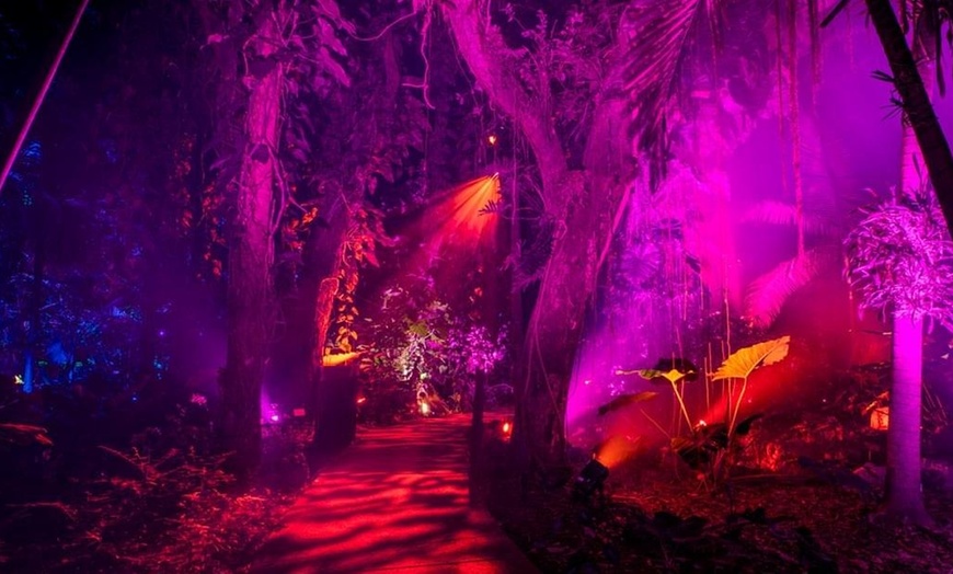 Image 1: Explore Dazzling Light Displays at The Night Garden in Miami