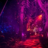Image 1: Explore Dazzling Light Displays at The Night Garden in Miami