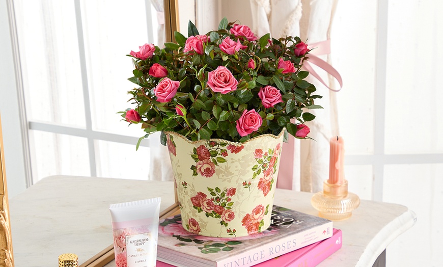 Image 3: Next Day Delivery Lush Plants from 1-800-Flowers (up to 50% off)