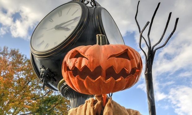 What to expect media