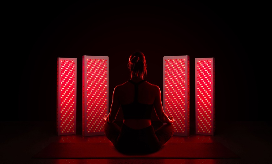 Image 3: LED-/Infrarot-Lichtanwendung / Kombi mit Kältekammer & Infrarotlicht