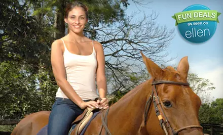 Horse Riding Lessons and Trail Rides at White Briar Farms in Hillsborough (Up to 61% Off). Two Options Available. - Primary Image