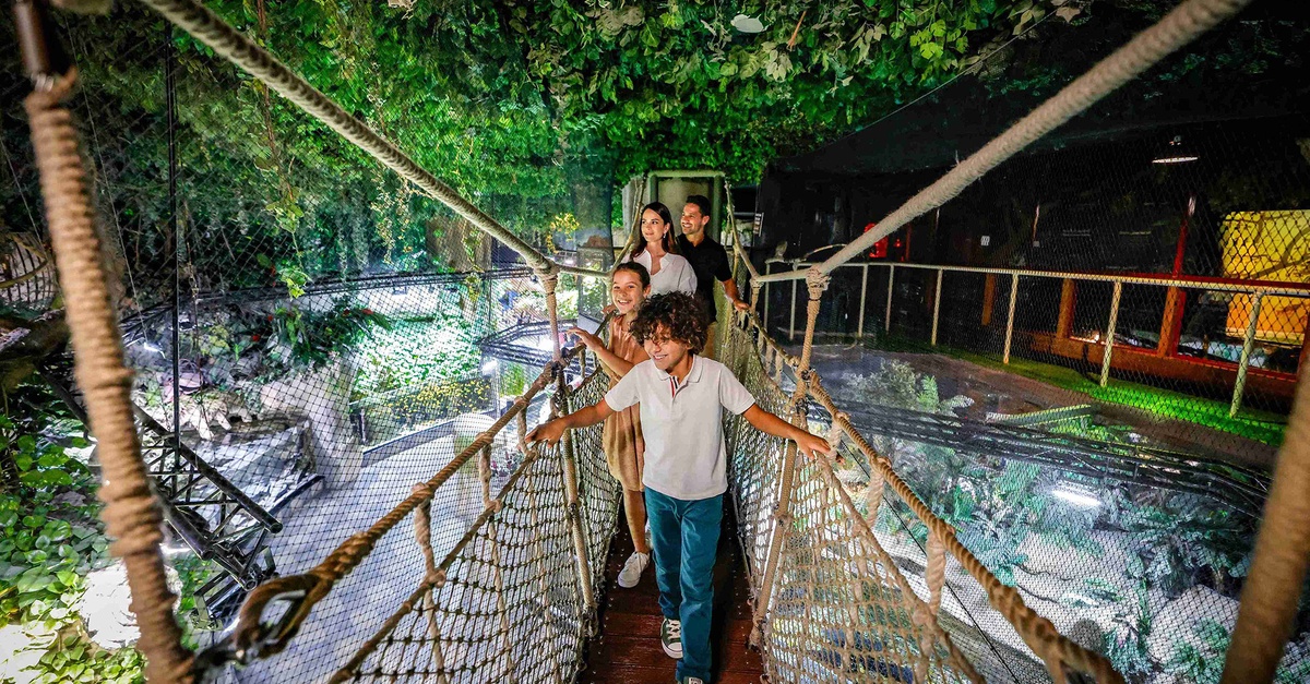 Dubai Aquarium And Dubai Frame Entry Tickets For 1, 2 Or 4 Adults Dubai Aquarium And Dubai Frame Entry Tickets For 1, 2 Or 4 Adults