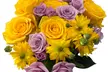 Elegance in Bloom: Stunning Farm Fresh Floral Spray Roses Bouquets from Rose Farmers (Up to 54% Off) - Second Medium