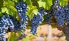 One- or Two-Night Stay with a Bottle of Wine and Winery Passes at Shady Oaks Country Inn in Napa Valley, CA
