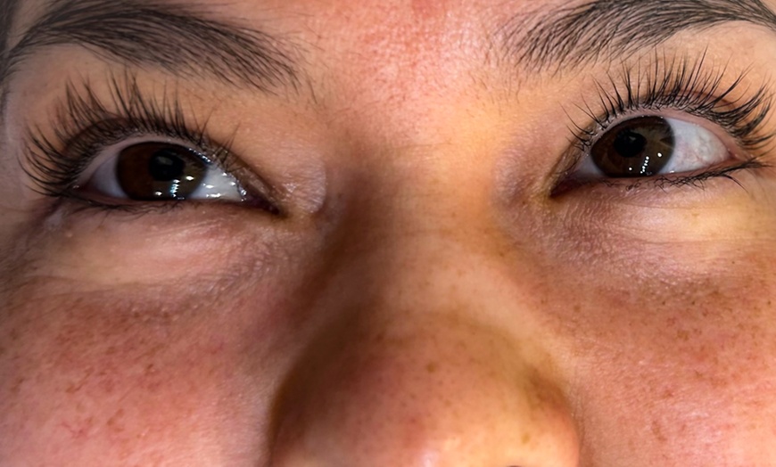 Image 6: Lavish Lashes, Brow, Or Facial with Optional Brazilian Deal