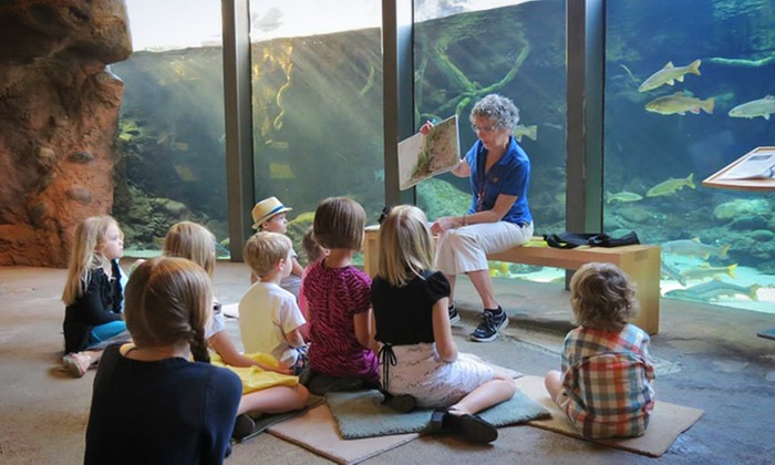 Turtle Bay Exploration Park - One-Year Individual or Family Membership (Up to 39% Off) - Primary Image