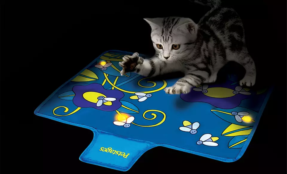 Petstages Cat Nighttime Play Bundle - Primary Image