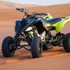 Image 2: Desert Adventure: Bikes, Raptors, Polaris, Buggy & Can-Am Experiences