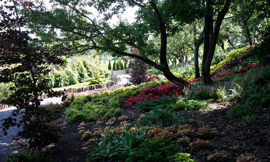 Image 6: Tour of the Gardens