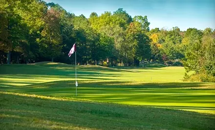 $40 for 18 Holes of Golf for Two and Cart Rental at Birkdale Golf Club in Chesterfield (Up to $90 Value) - Primary Image