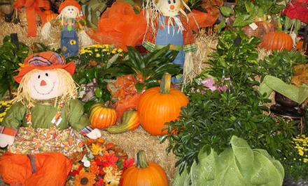 $10 for $20 Worth of Home Décor and Garden Supplies at Ellis Home Decor and Garden - Primary Image
