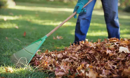 $99 for Two Hours of Fall Landscaping Cleanup from Custom Cuts Tree Care ($250 Value) - Primary Image