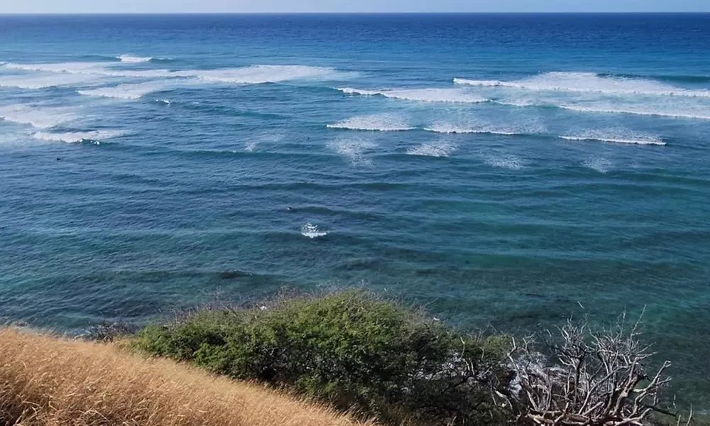 Embark w/ Northshore Circle Island Adventure for 1 Child,1 Adult