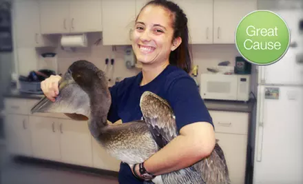 If 11 People Donate $5, Then Pelican Harbor Seabird Station Can Rescue Injured Seabirds on a Wildlife Rescue Trip - Primary Image