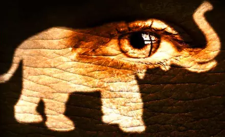 $10 for Outing to Prime Stage Theatre's "The Elephant Man" at the New Hazlett Theater (Up to $22.50 Value) - Primary Image