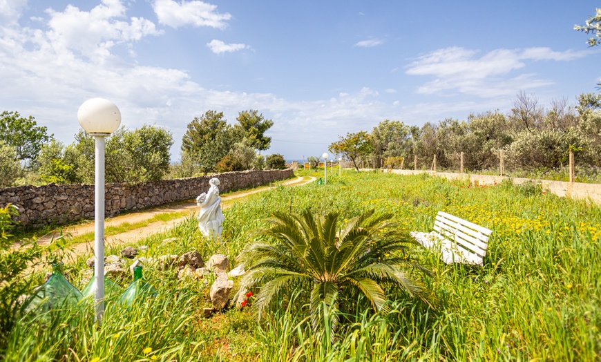 Image 6: Estate in Salento: 7 notti in Appartamento fino a 8 persone