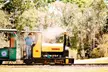 Cottontail Express: Ticket for 1, 2 or 4 People for (Valid for March 29 - 30 and Apr 6, 12, 13, 17, 18 & 19 - Second Medium