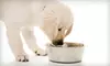 $15 for $30 Worth of Pet Food, Toys, and Accessories from PetFlow.com