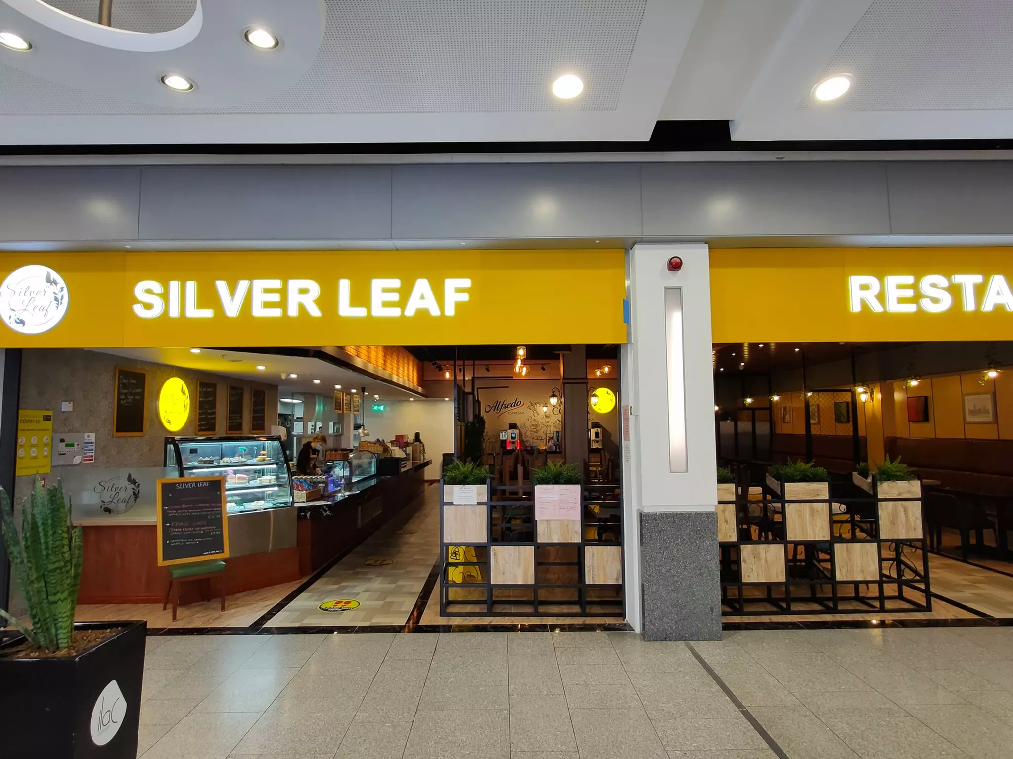 Enjoy a Two Course Meal + Wine or Soft Drink for One, Two, or Four