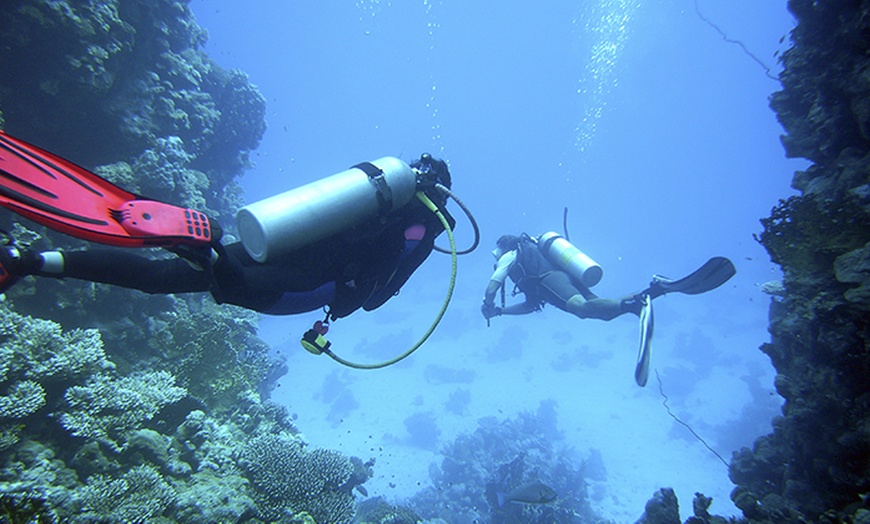 Image 1: Scuba Diving Course