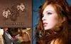 $29 for a Women's Haircut, Shampoo, and Styling With Stylist Ron Baron at Steven Paul Salon (Up to $75 Value)
