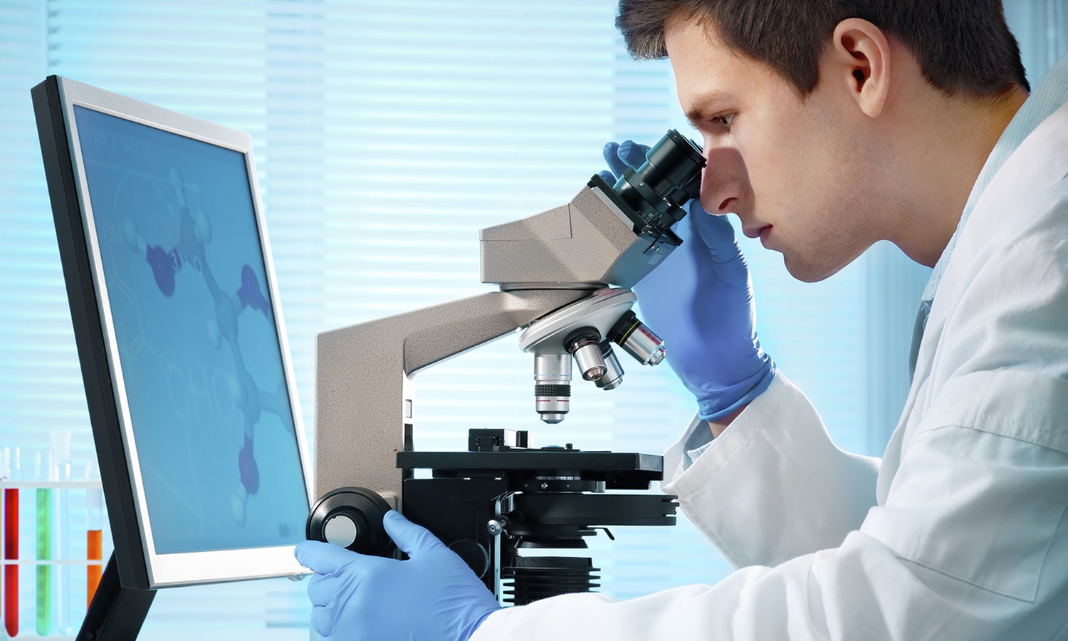 Gesundheits-Check & Labor-Analyse