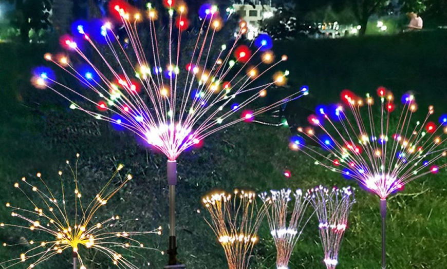 Image 5: Packs of One, Two or Four Solar Dandelion Decorative Lights