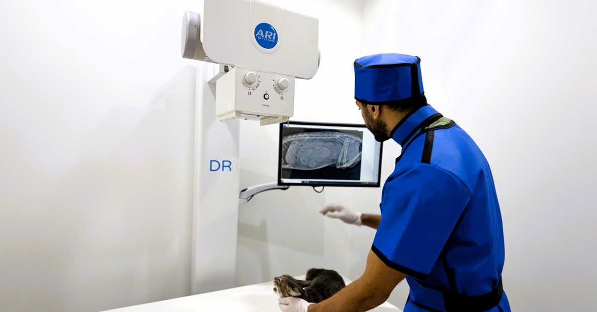 Comprehensive Vet Care: Vaccinations, Surgeries, X-rays For Pets Comprehensive Vet Care: Vaccinations, Surgeries, X-rays For Pets