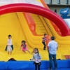 Image 2: Up to 43% Off All-Day Passes: Summer Fun Zone at ABC Tree Farm