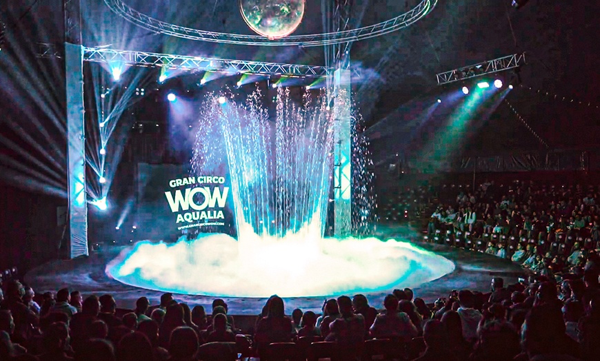 Image 2: Entrada para niño o adulto al "Gran Circo WOW de Navidad" en Valencia