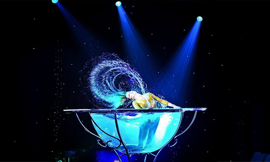 Image 6: Ticket für die La Piazza X-MAS Show vom 16. - 31.01.26 in Hamburg