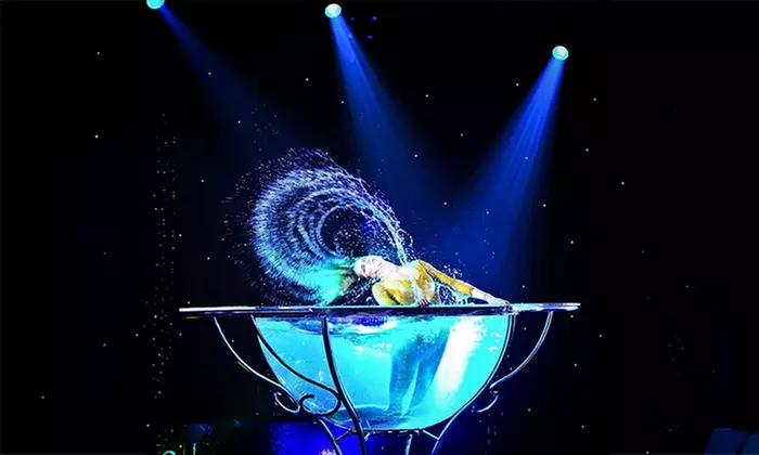 Ticket für die La Piazza X-MAS Show vom 16. - 31.01.26 in Hamburg