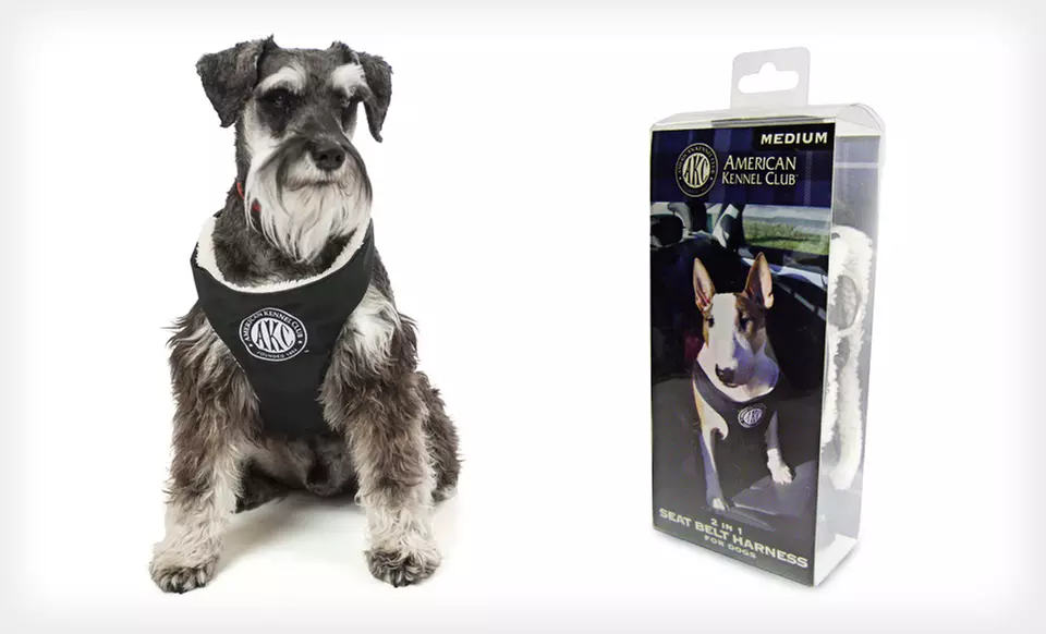 American Kennel Club Car Harness for Dogs - Second Medium