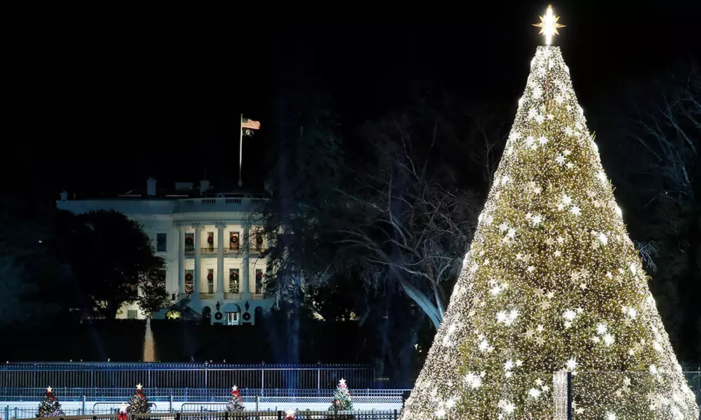 Explore Washington DC Holiday Lights with Guided Tour for 1, 2, 4 or 6