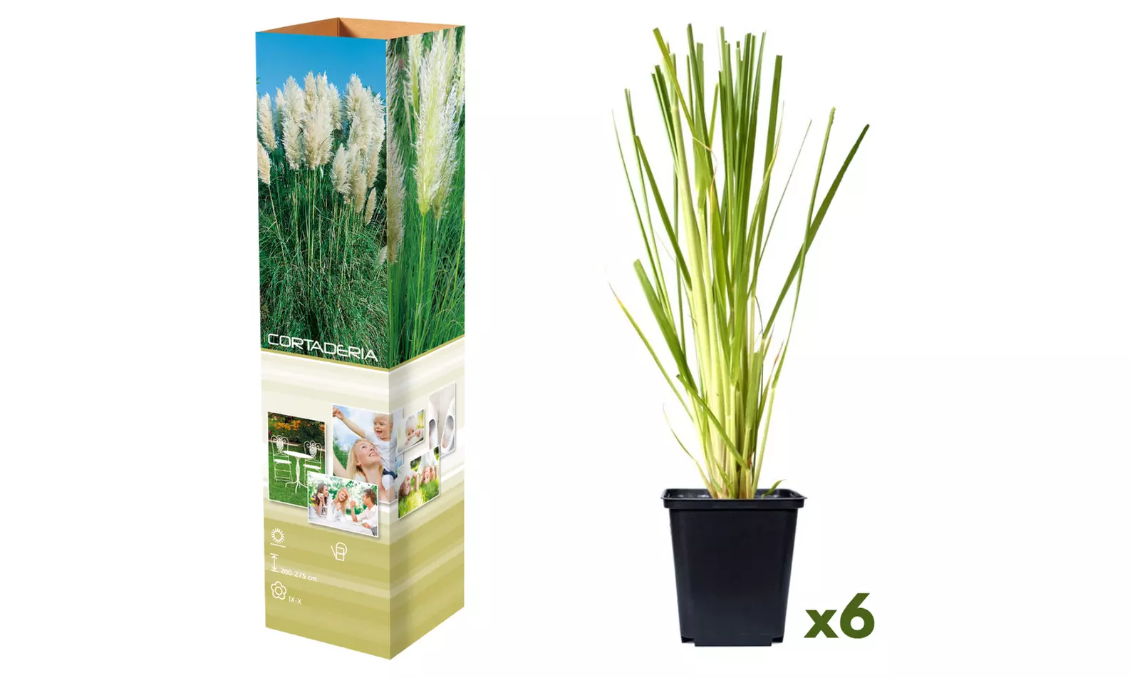 Set de 3 plantas de exterior Pampa