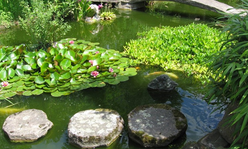 Image 3: Japanese Meditation Garden Entry