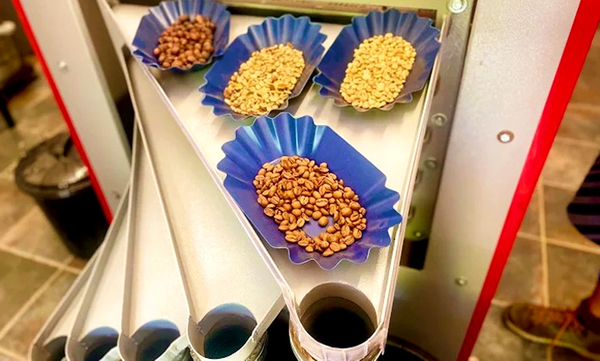 Image 6: Visita a la Finca Los Castaños con degustación de café para 1, 2 o 4