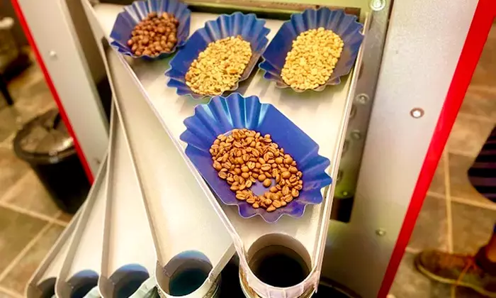 Visita a la Finca Los Castaños con degustación de café para 1, 2 o 4