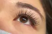 Transform Your Look with Classic, Wet, Light Volume or Volume Eyelash Extensions at Beauté by E -  53% Off - Second Medium